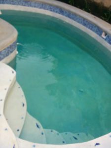 Swimming Pool 5-6.5' deep